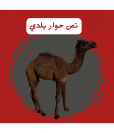 نص حوار ( بلدي )